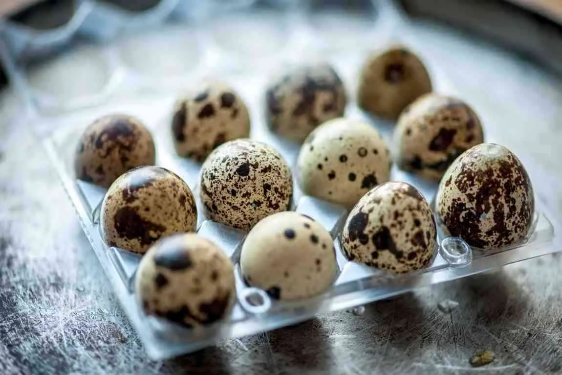 Fresh Quail Eggs