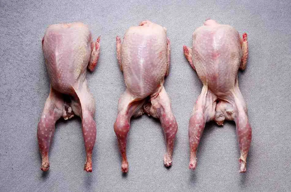 Quail Meat